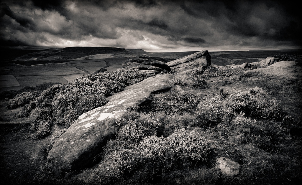 Rock and heather in the Peak District. Fuji XT1. Conversion in Lightroom.